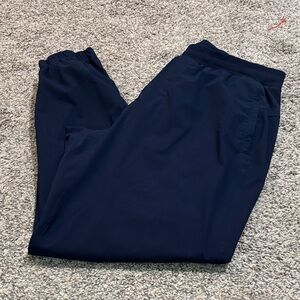 Lululemon Surge Jogger *Shorter Length size large